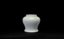 A Famille Rose Porcelain Jar &lsquo;Parrot And Flowers&rsquo;, Qing Dynasty - 3