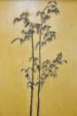 Qing Dynasty ,Qianlong Period (1736-1795), - 14