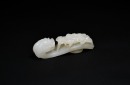 A Fine White Jade Belt Hook Carved with Chilong Amidst Cloud Scrolls, Qianlong Period, Qing Dynasty (Mid-18th Century) - 6