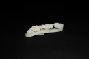 A Fine White Jade Belt Hook with Chilong Design, Qing Dynasty