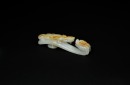 A Finely Carved White Jade Belt Hook with Russet Inclusions and Chilong Design, Qianlong Period (1736&ndash;1795) - 4