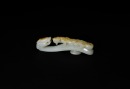 A Finely Carved White Jade Belt Hook with Russet Inclusions and Chilong Design, Qianlong Period (1736&ndash;1795) - 5