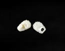 White Jade Belt Buckle Carved with Two Chilong Dragons, Qing Dynasty (18th&ndash;19th Century) - 4