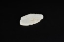 A White Jade Double-Sided Openwork Plaque Carved as a Butterfly, Qing Dynasty (18th&ndash;19th Century) - 3