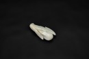White Jade Belt Hook with Phoenix Head and Taiji Yin-Yang Motif, Qing Dynasty (18th&ndash;19th Century) - 3
