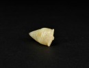 A Pale Green Jade Cicada, Shang Dynasty (c. 1600 BC- c. 1045 BC) - 3