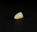 A Pale Green Jade Cicada, Shang Dynasty (c. 1600 BC- c. 1045 BC) - 4