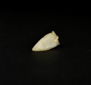 A Pale Green Jade Cicada, Shang Dynasty (c. 1600 BC- c. 1045 BC) - 6