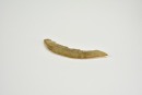 A Pair of Jade Fish Pendants, Western Zhou Dynasty (circa 1046-771 Century BC) - 5