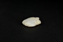 A Celadon Jade Turtle, Shang Dynasty (circa 13th&ndash;11th Century BC) - 6