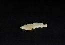 A Celadon Jade Dragon-shaped Pendant, Shang to Western Zhou Dynasty (circa 13th&ndash;9th Century BC) - 4