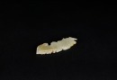 A Celadon Jade Dragon-shaped Pendant, Shang to Western Zhou Dynasty (circa 13th&ndash;9th Century BC) - 5