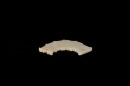 A Rare Jade Pendant Carved as a Human Head with High CrownShijiahe Culture, ca. 2500&ndash;2000 BC. - 3