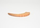 A Carved Yellowish Jade &lsquo;Dragon&rsquo; Pendant (Huang), Han Dynasty (206 Bce &ndash; 220 Ce) - 5
