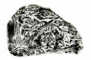 Zhao Gu Ni (1874-1933) A Shoushan Stone Seal For Private Use Engraved By Zhao Gu Ni - 11