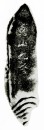 Zhao Gu Ni (1874-1933) A Shoushan Stone Seal For Private Use Engraved By Zhao Gu Ni - 13