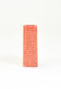 Wang Fuyi (1879&ndash;1960) A Shoushan Stone Seal Private Use Engraved By Wang Fuyi. - 9