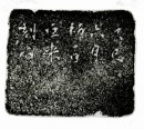 Chen Julai (1904-1984) A Shoushan Stone Seal Engraved by Chen Julai - 11