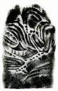 Qing Dynasty. A Carved Collection Seal.<BR>(Yi Lan Tang). - 12