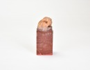 Fang Jie Kan (1901&ndash;1987). A Shoushan Stone Seal Private Use Engraved By Fang Jie Kan. - 5