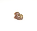 Han Dynasty (206 BC&ndash;220 AD). Jade Recumbent Beast. - 6