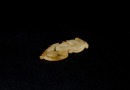 Han Dynasty. Jade Dancer Pendant. - 3