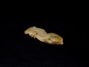 Han Dynasty. Jade Dancer Pendant. - 4