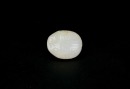 Western Zhou Dynasty (c. 1046&ndash;771 BC), Jade Turtle