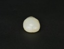 Western Zhou Dynasty (c. 1046&ndash;771 BC), Jade Turtle - 5