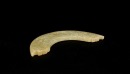 A Carved Jade Crescent Pendant With Dragon Motifs (Huang) Western Zhou Dynasty - 3