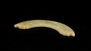 A Carved Jade Crescent Pendant With Dragon Motifs (Huang) Western Zhou Dynasty - 4