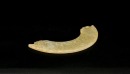 A Carved Jade Crescent Pendant with Dragon Motifs (Huang) Western Zhou Dynasty - 6