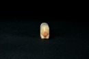 Han Dynasty (206 Bc &ndash; Ad 220). A Celadon-White Jade Recumbent Pig. - 2