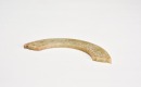 A Rare Multi-Perforated Jade Crescent Pendant with Dragon Motifs (Huang) Early Western Zhou Dynasty, ca. 11th&ndash;9th century BC - 4