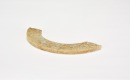 A Rare Multi-Perforated Jade Crescent Pendant with Dragon Motifs (Huang) Early Western Zhou Dynasty, ca. 11th&ndash;9th century BC - 8
