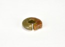 Shang Dynasty (circa 1600&ndash;1046 BC). A Celadon Jade &lsquo;C-Dragon&rsquo; Pendant. - 9