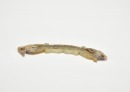 Han Dynasty. Arched Jade Huang with Confronted Double-Dragon Motif. - 6