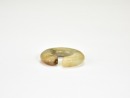 Coil Jade Dragon Pendant. Late Warring States to Early Western Han - 7