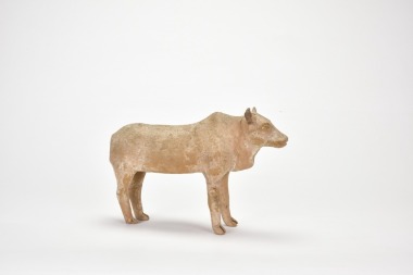 Tang Dynasty (AD 618&ndash;907). A Pottery Figure of an Ox, modeled standing with sturdy body and elongated legs.
