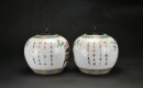 19th Century - A Pair of Famille Rose Porcelain Covered Jars with Antiquities and Floral Decoration - 2