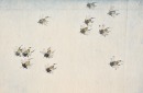Yang Shan Shen (1913-2004) Ink And Color On Paper - 2