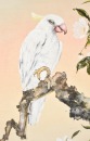 Huang Huanwu (1906-1985) White Parrot Ink And Color On Paper - 2