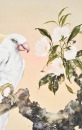 Huang Huanwu (1906-1985) White Parrot Ink And Color On Paper - 3
