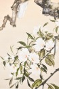 Huang Huanwu (1906-1985) White Parrot Ink And Color On Paper - 6
