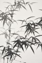 Ya Gongchao (1904-1981) Ink On Paper - 3
