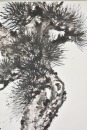 Chen Zihe (1910-1984) Ink And Color On Paper - 2