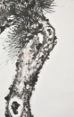 Chen Zihe (1910-1984) Ink And Color On Paper - 3