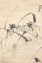 Zhao Ziyong (1786-1847) Ink On Paper - 5