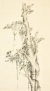 Su Dun Ink On Paper - 2