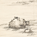 Su Dun Ink On Paper - 8